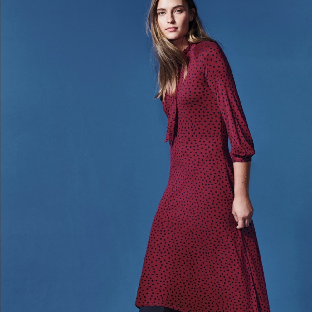 Boden Rosa Polka Dot Tie Neck Dress 16R